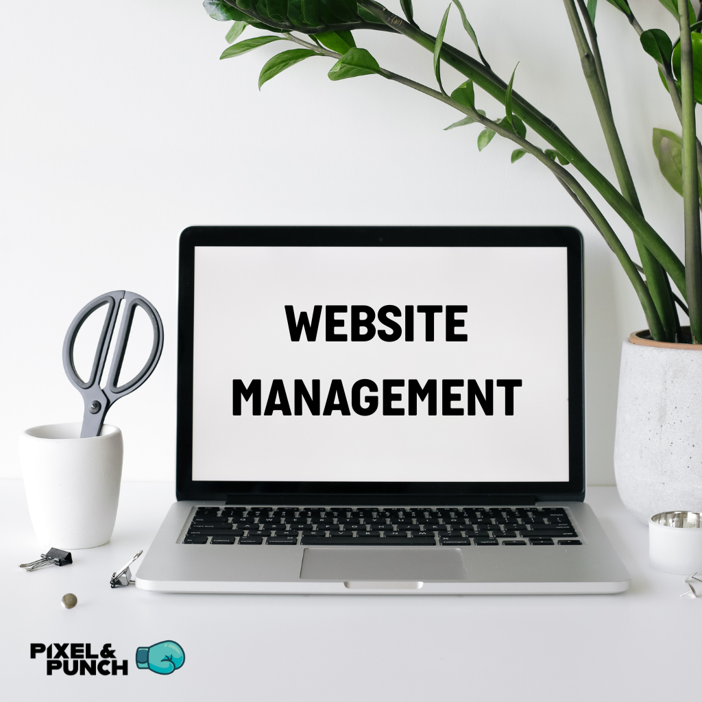 Website Management